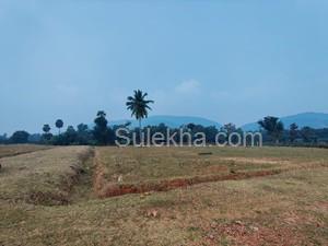 250 Sq Yards Plots & Land for Sale in Kothavalasa