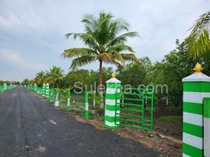 10000 sqft Agricultural Land/Farm Land for Sale in Melmaruvathur