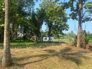 5100 sqft Agricultural Land/Farm Land for Sale in Nagaon