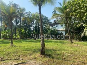 10000 sqft Agricultural Land/Farm Land for Sale in Nagaon