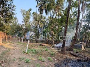 5500 sqft Plots & Land for Sale in Nagaon