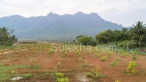9147 sqft Agricultural Land/Farm Land for Sale in Pannimadai