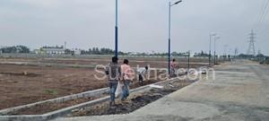 1000 sqft Plots & Land for Sale in Pappampatti