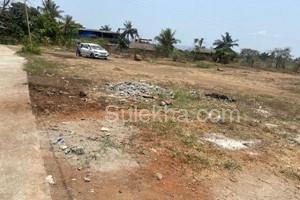 2800 sqft Agricultural Land/Farm Land for Resale in Nagaon