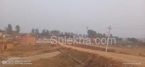 1050 sqft Plots & Land for Sale in Sector 140
