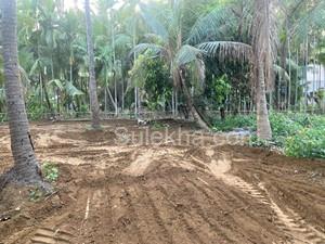 5000 sqft Agricultural Land/Farm Land for Sale in Nagaon