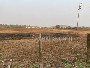 11000 sqft Agricultural Land/Farm Land for Sale in Nagaon
