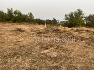6000 sqft Plots & Land for Resale in Nagaon