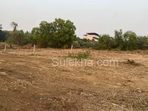 6000 sqft Plots & Land for Resale in Nagaon