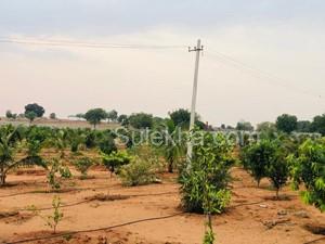 200 Sq Yards Plots & Land for Sale in Velimela