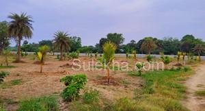 5000 sqft Agricultural Land/Farm Land for Sale in Mamandur