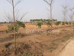 120 Sq Yards Plots & Land for Sale in Shankarpally