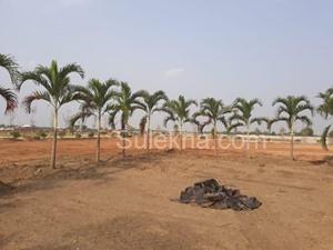 400 Sq Yards Plots & Land for Sale in Narayankhed