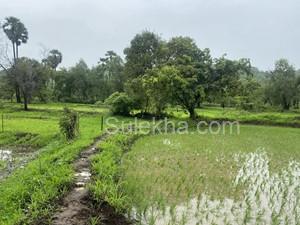 12 Acres Agricultural Land/Farm Land for Sale in Dawale