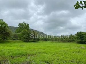 92000 sqft Agricultural Land/Farm Land for Sale in Nagaon