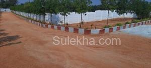120 Sq Yards Agricultural Land/Farm Land for Sale in Siddipet