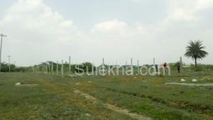 2000 sqft Plots & Land for Resale in Sevvapet