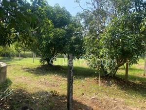 6500 sqft Plots & Land for Sale in Nagaon