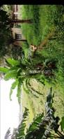 1600 Sq Meters Plots & Land for Sale in Colva