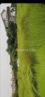 6600 Sq Meters Plots & Land for Sale in Sancoale