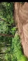 2000 Sq Meters Plots & Land for Sale in Agonda