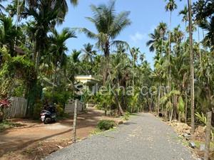 5500 sqft Plots & Land for Resale in Dawale