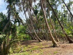 5500 sqft Plots & Land for Resale in Dawale