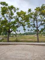 800 sqft Plots & Land for Sale in Mambakkam