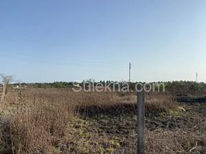 8000 sqft Plots & Land for Sale in Nagaon