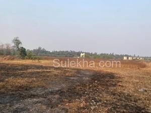 11000 sqft Agricultural Land/Farm Land for Sale in Nagaon