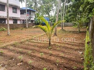 10 Cent Plots & Land for Resale in Pravachambalam