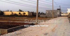 990 sqft Plots & Land for Sale in Sector 168