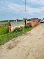 650 sqft Plots & Land for Sale in Sector 143