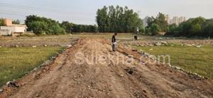 900 sqft Plots & Land for Sale in Sector 148