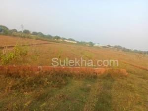 11760 sqft Plots & Land for Sale in Kantabada