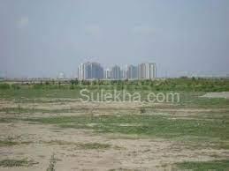 1800 sqft Plots & Land for Sale in Sector 149