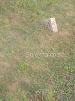 1800 sqft Plots & Land for Sale in Aranvoyal