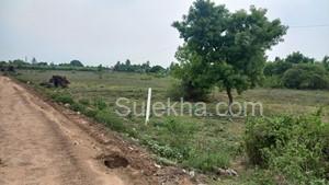 1500 sqft Plots & Land for Sale in Walajabad