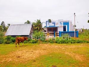 1710 sqft Plots & Land for Sale in Pillaiyarpatti