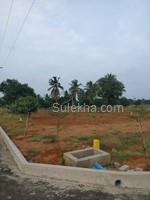167 Sq Yards Plots & Land for Sale in Chodavaram