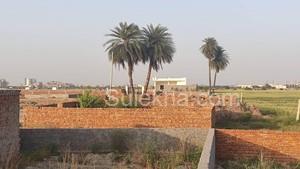 1080 sqft Plots & Land for Sale in Sector 144