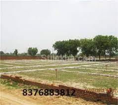 900 sqft Plots & Land for Sale in Iilm Greater Noida