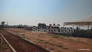 600 Sq Yards Agricultural Land/Farm Land for Sale in Shadnagar