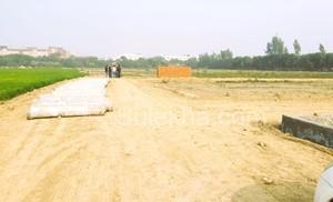 1350 sqft Plots & Land for Sale in Greater Noida Express Way