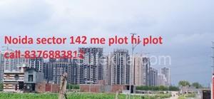 1350 sqft Plots & Land for Sale in Sector 144