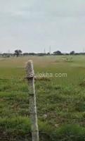 5 Acres Plots & Land for Sale in Kanchipuram