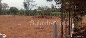 20000 sqft Agricultural Land/Farm Land for Sale in Doddaballapur