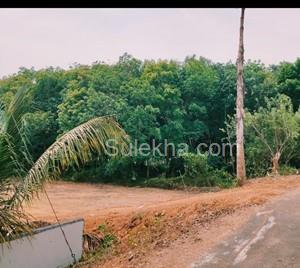 9 Cent Plots & Land for Resale in Kongad