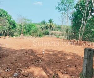 33 Cent Plots & Land for Resale in Kanjikode