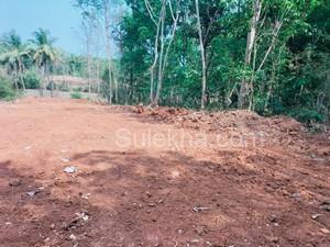 70 Cent Plots & Land for Resale in Pallatheri